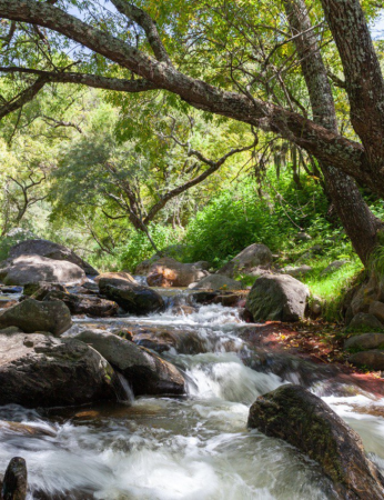 Las cascaditas